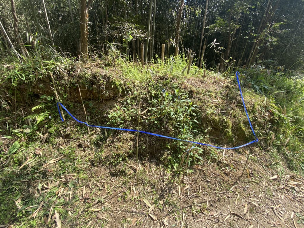 自然に生殖する植物について色々知ることができました