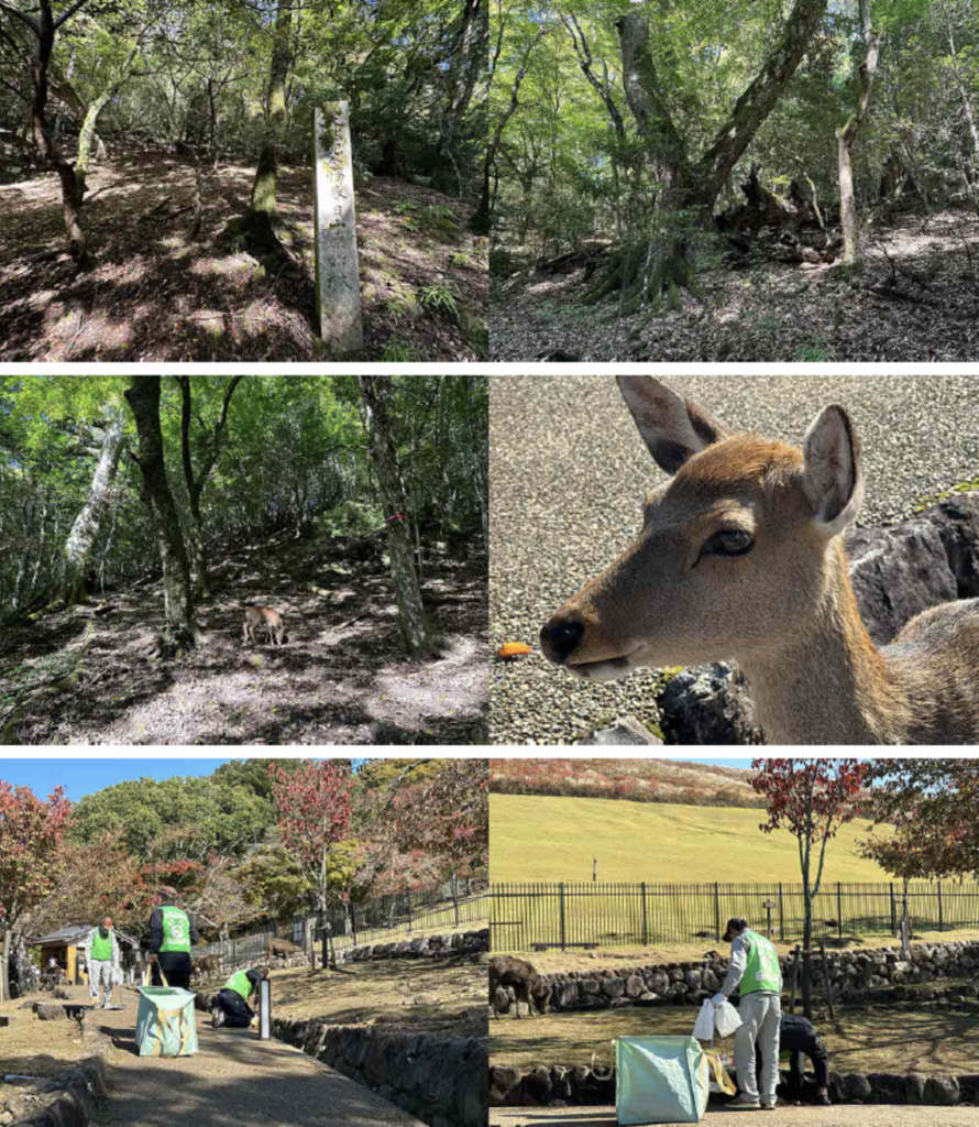 古都奈良をめぐり 環境保全。住みつづけられる街づくりへの取組に触れてきました。