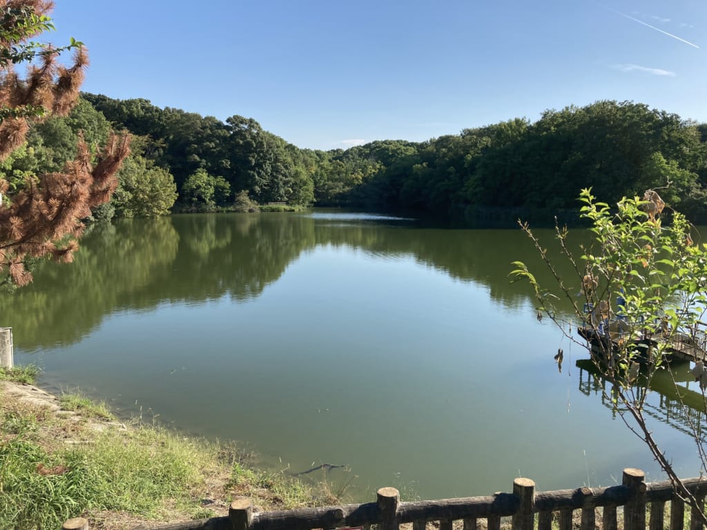 外来生物の襲来でSDGsを体験！！