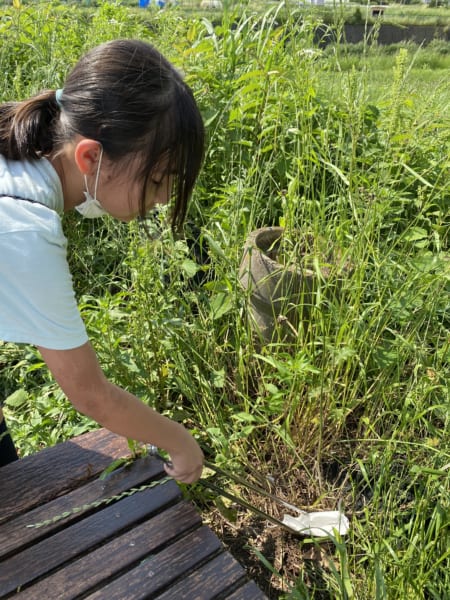 故郷の川のリバークリーン活動