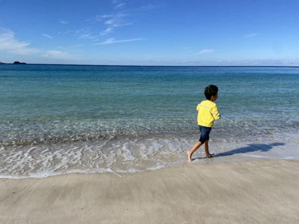 「海の豊かさを守ろう」を身近な問題として感じるには