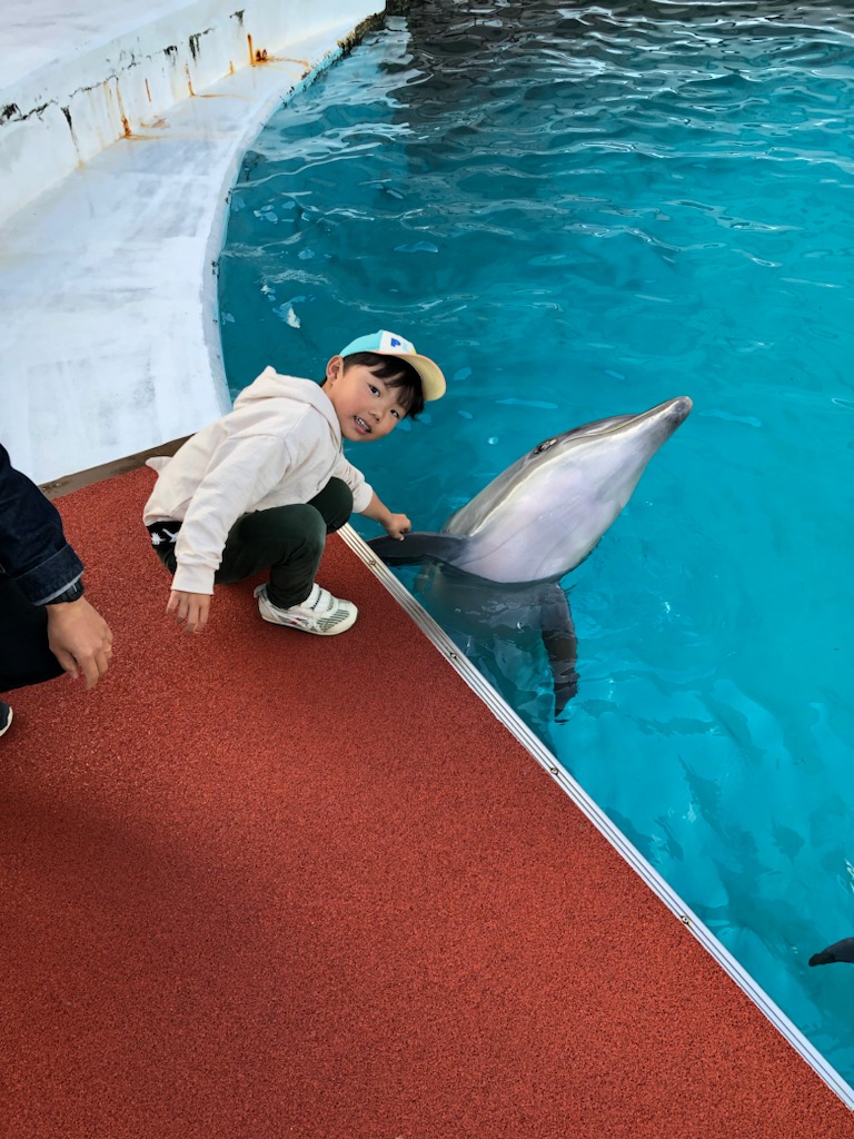 「海の豊かさを守ろう」を身近な問題として感じるには