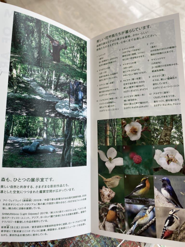 箱根・ポーラ美術館から自然との共生のあり方を学ぶ