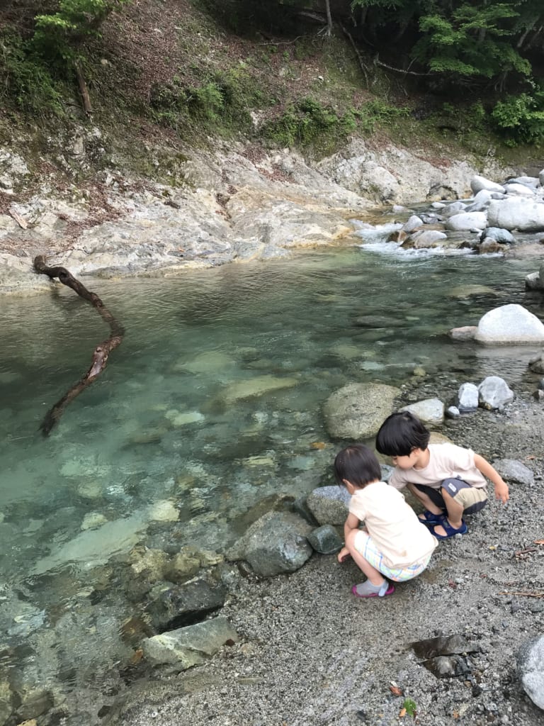 貴重な自然環境に恵まれたキャンプ場で 子供と共に環境保全活動を体験学習してきました！