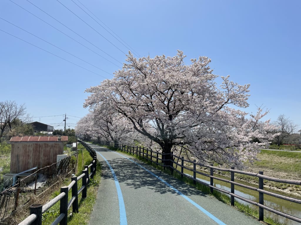 自転車で奈良一周してきました。 自然豊かな街”奈良”の魅力を改めて発見！