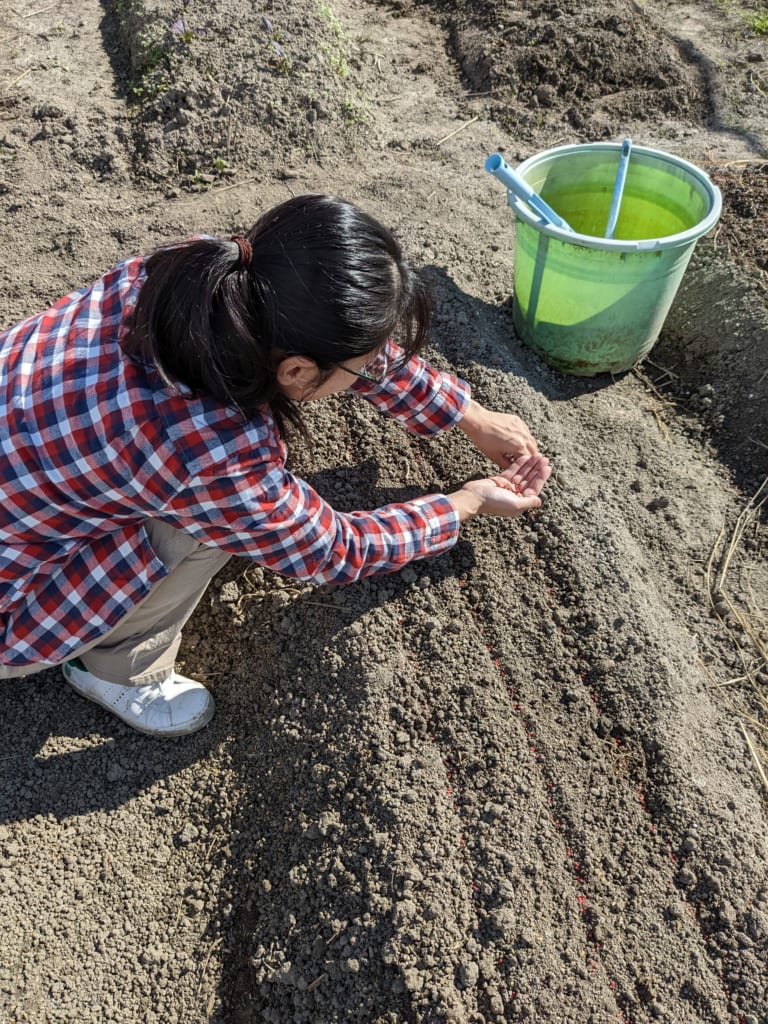 作ったからには余すことなく使い切る