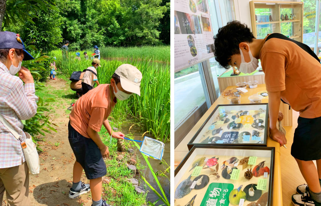 SDGsに積極的に取り組む万博記念公園をまるごと体験