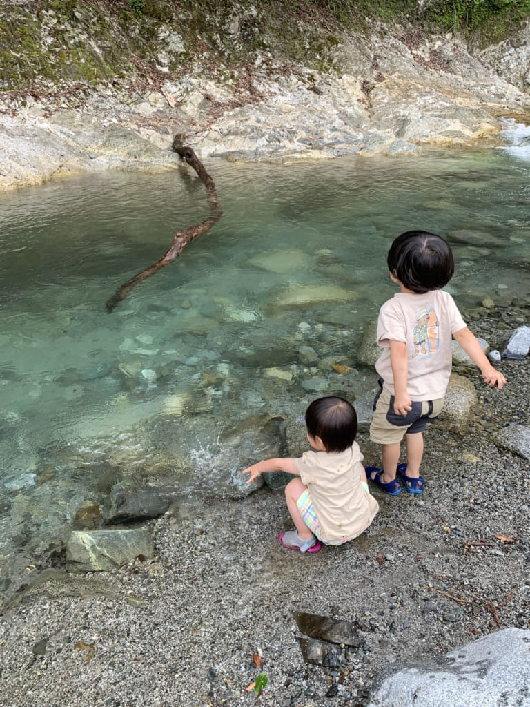 自然豊かなキャンプ場で自然との共生を学ぶ